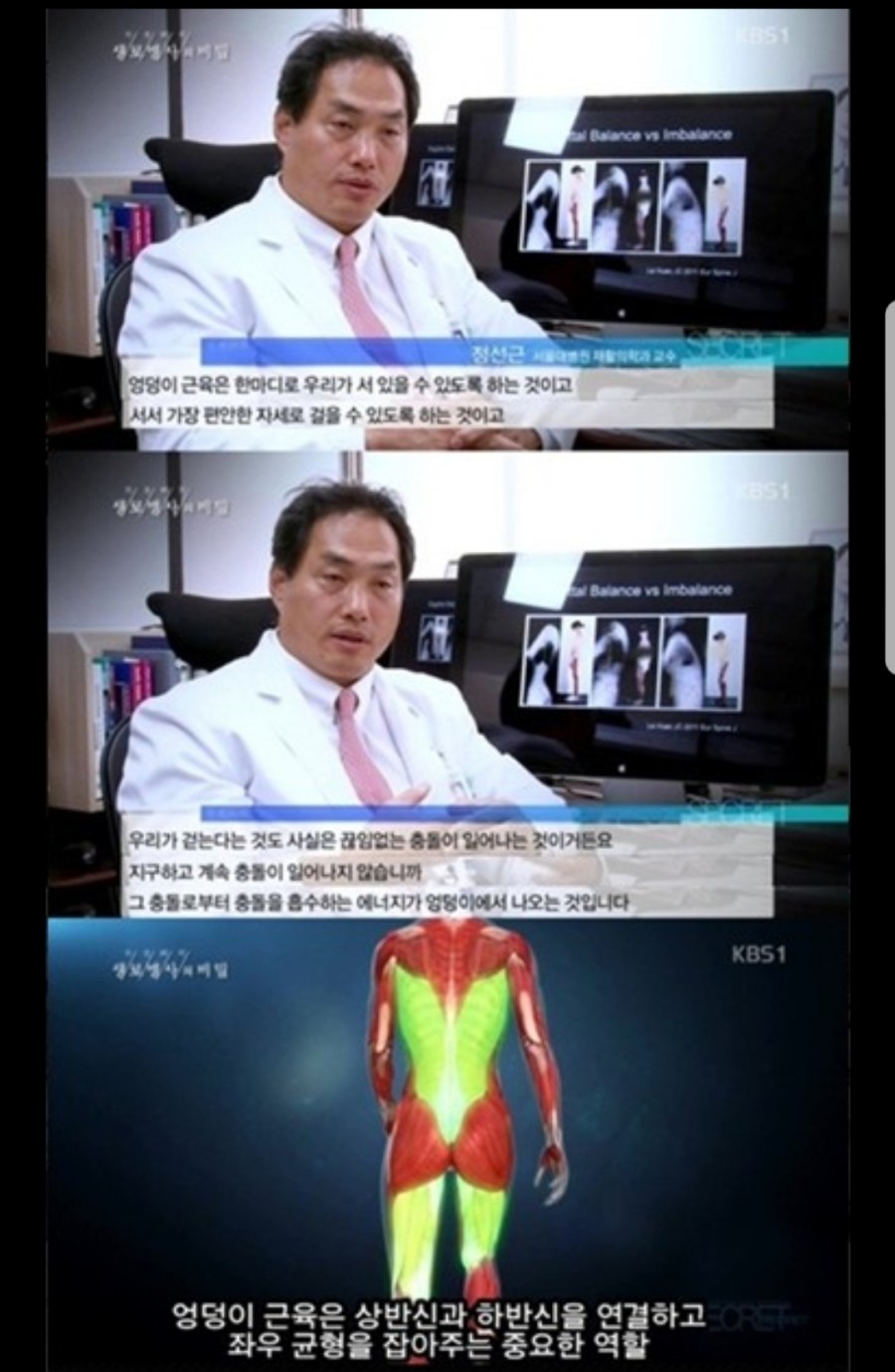 레몬트리짐 이미지