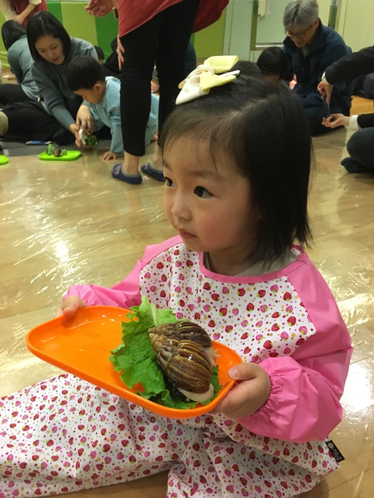 달팽이집 이미지