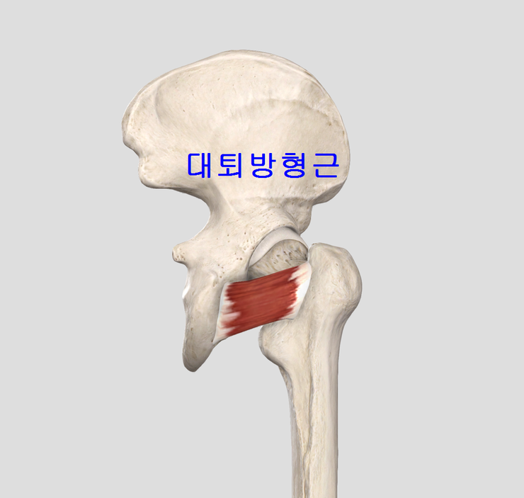 화목한의원 이미지