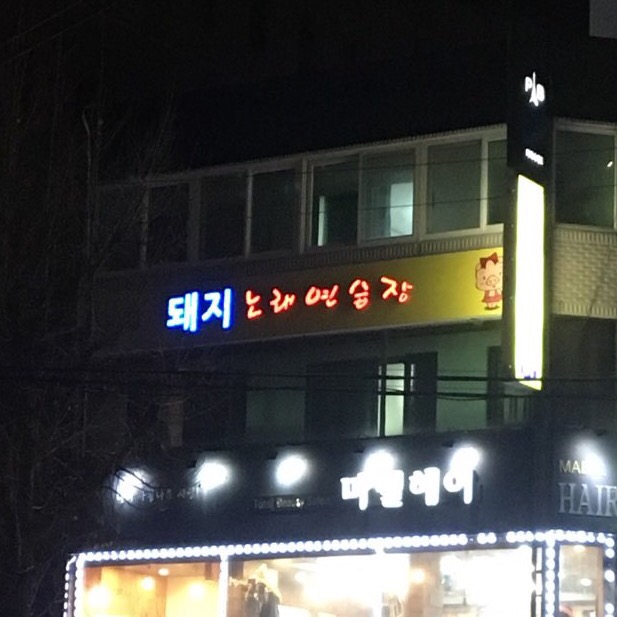 돼지노래연습장 이미지