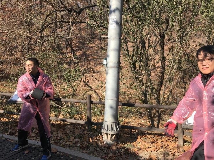 강북권투 이미지