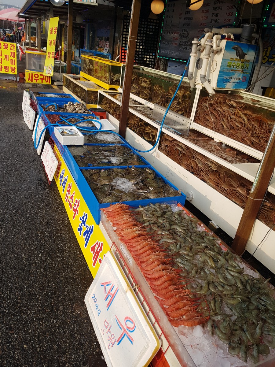 연세스타수산 이미지