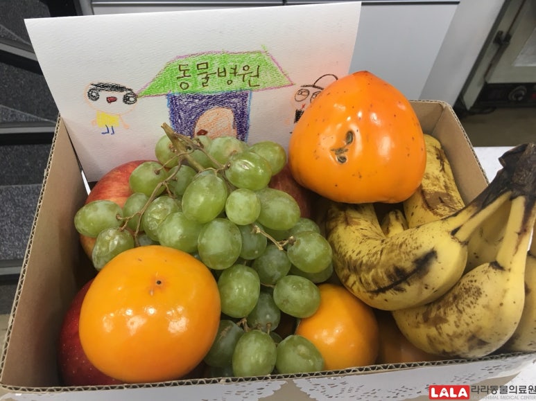 서울남유치원 이미지