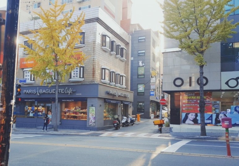 바느질하는고양이 이미지