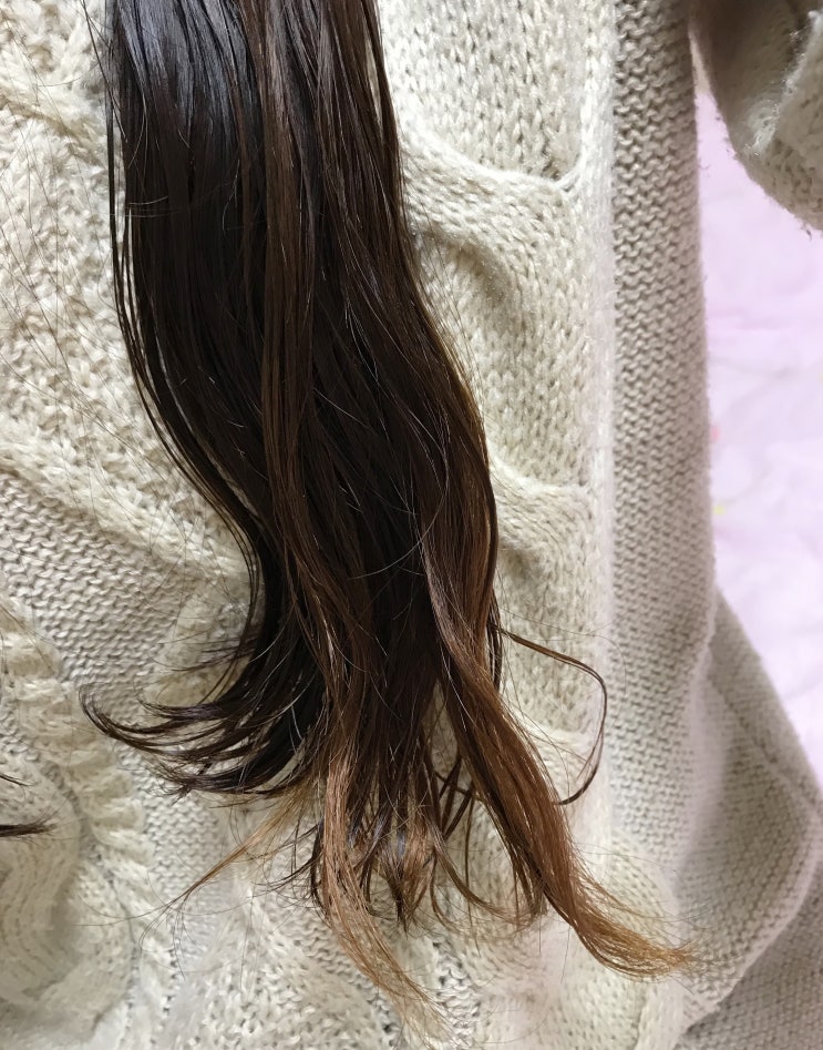 솝앤헤어 이미지