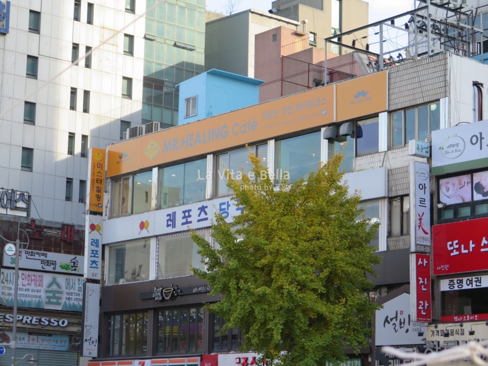 카페힐링(cafe healing) 이미지