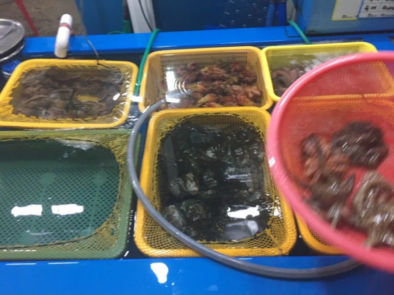초이스노래타운 이미지