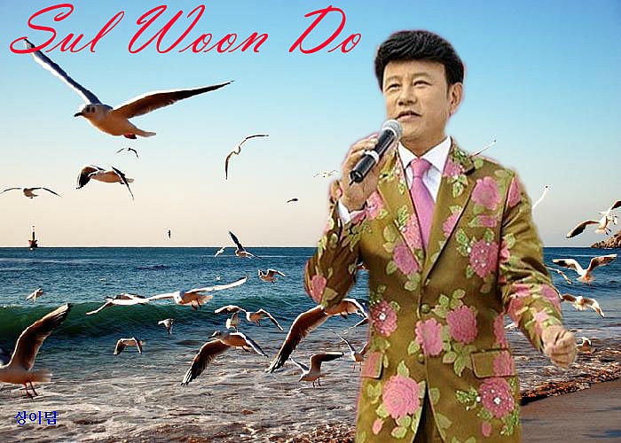 청춘갈매기 이미지