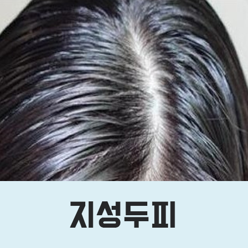 샴푸미용실 이미지