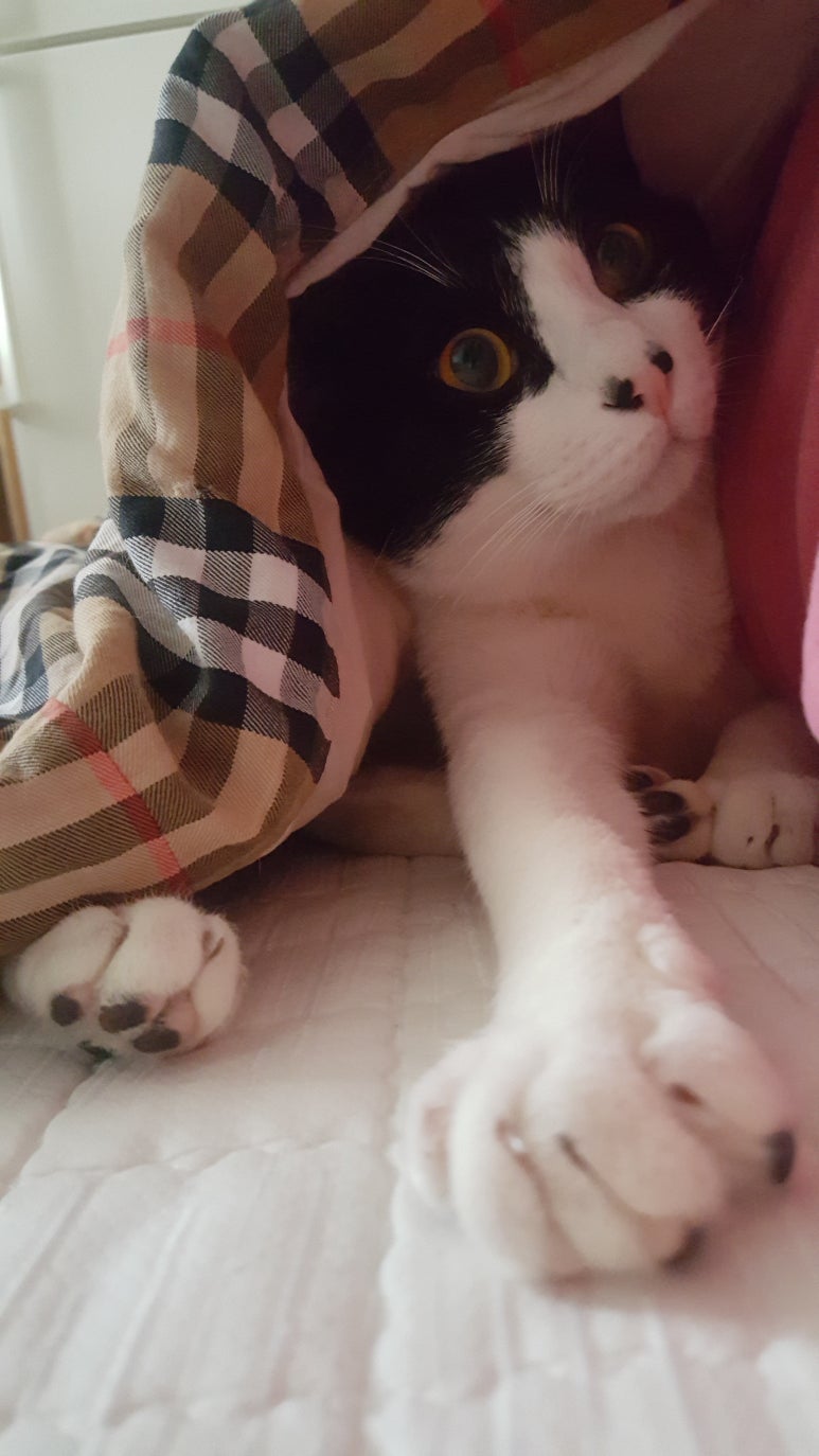 김만두씨 이미지