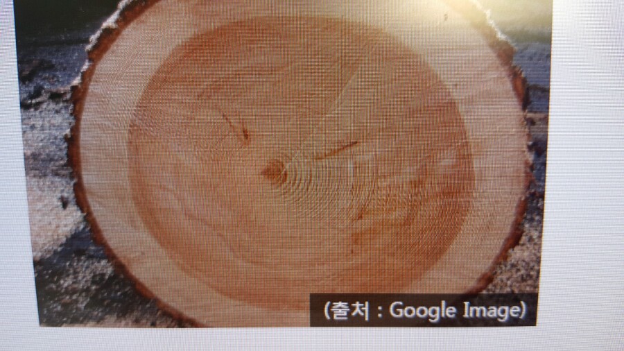미가홈데코 이미지