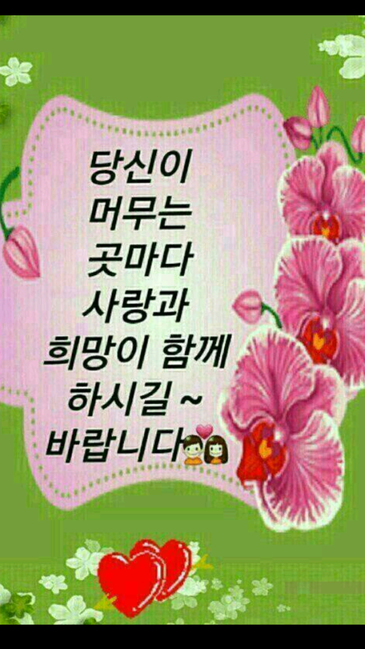 선나린 이미지