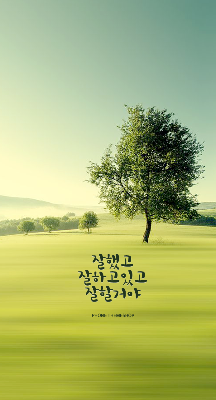 천사속눈썹 이미지