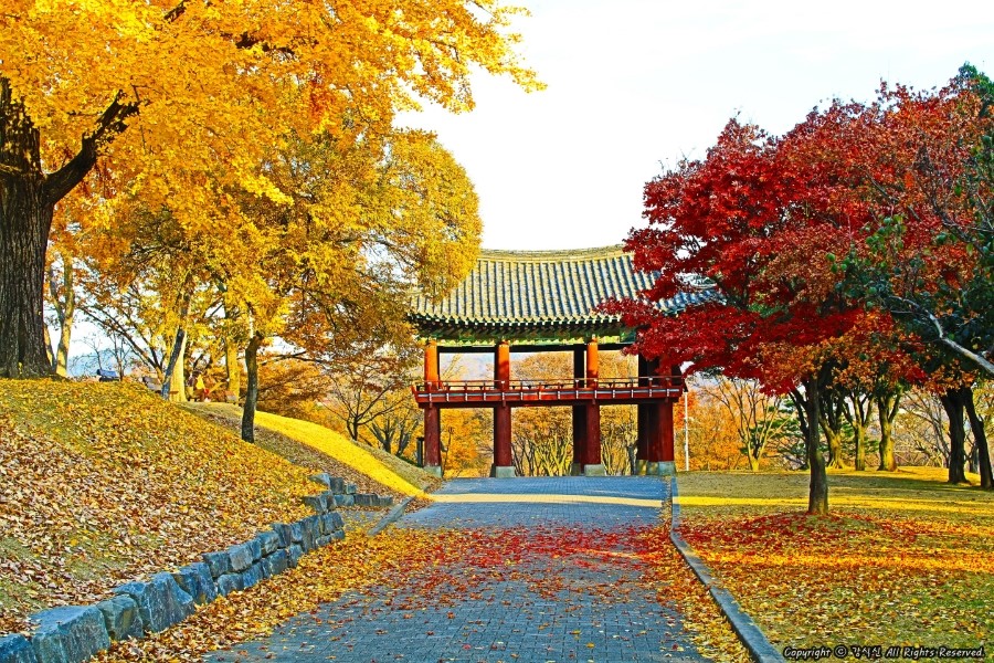 커피하우스 민 이미지