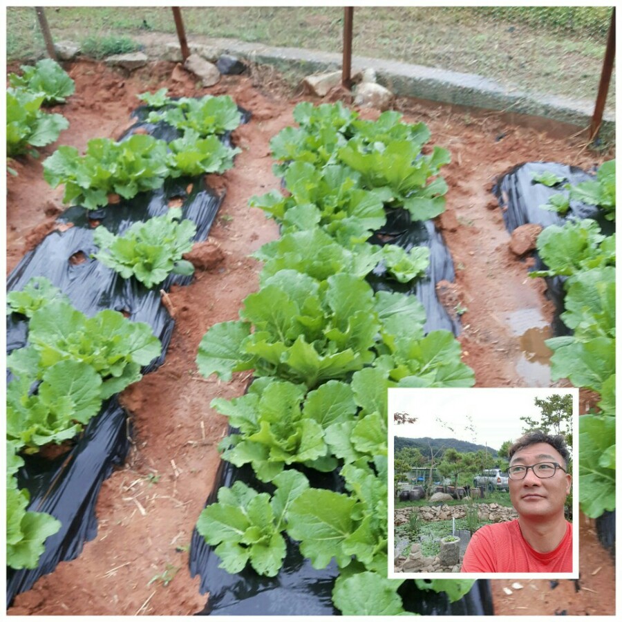 이추명헤어 이미지