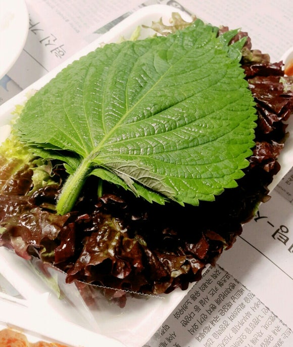 유가네왕착한족발 이미지
