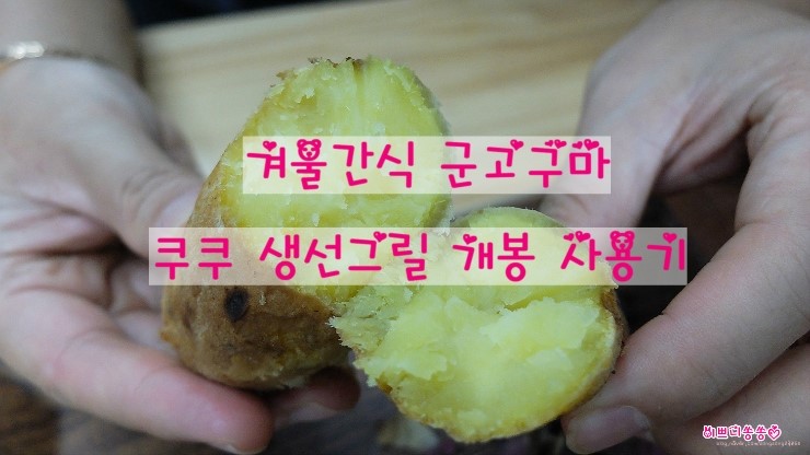 이쁘니생선 이미지