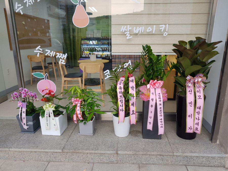 소담도담 이미지