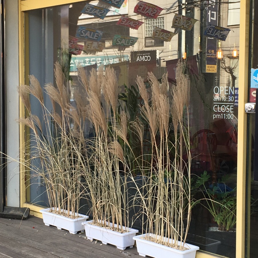카페 모리(Cafe MORI) 이미지