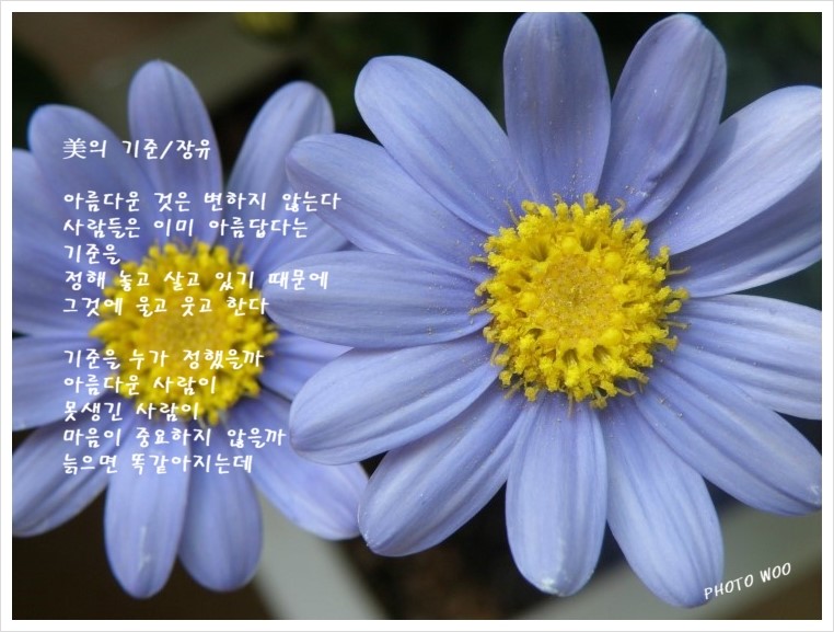 美 아름다운 사람 이미지