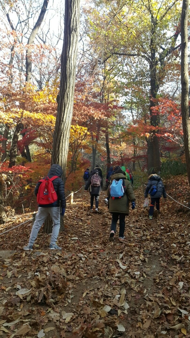 서울사당초등학교 이미지