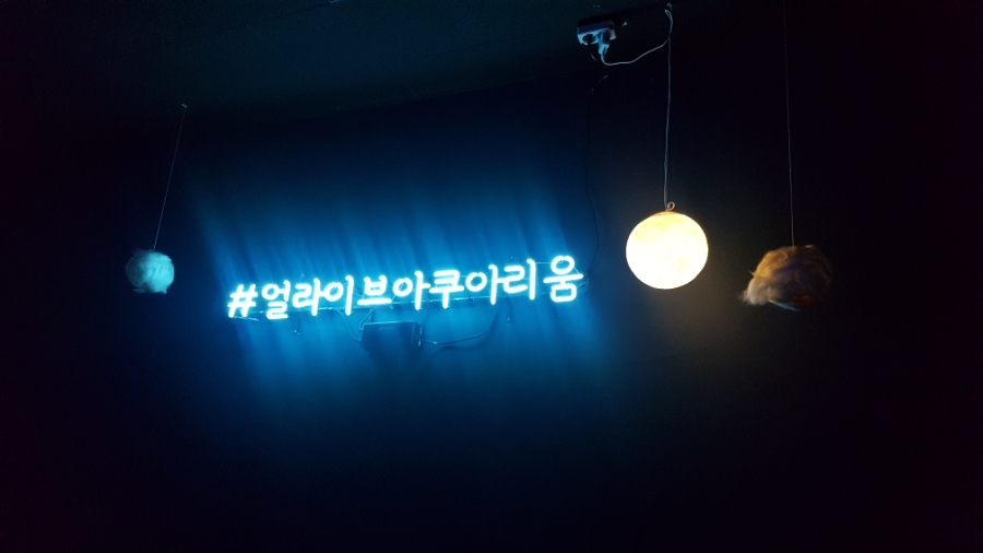 빌라드스파이시 이미지