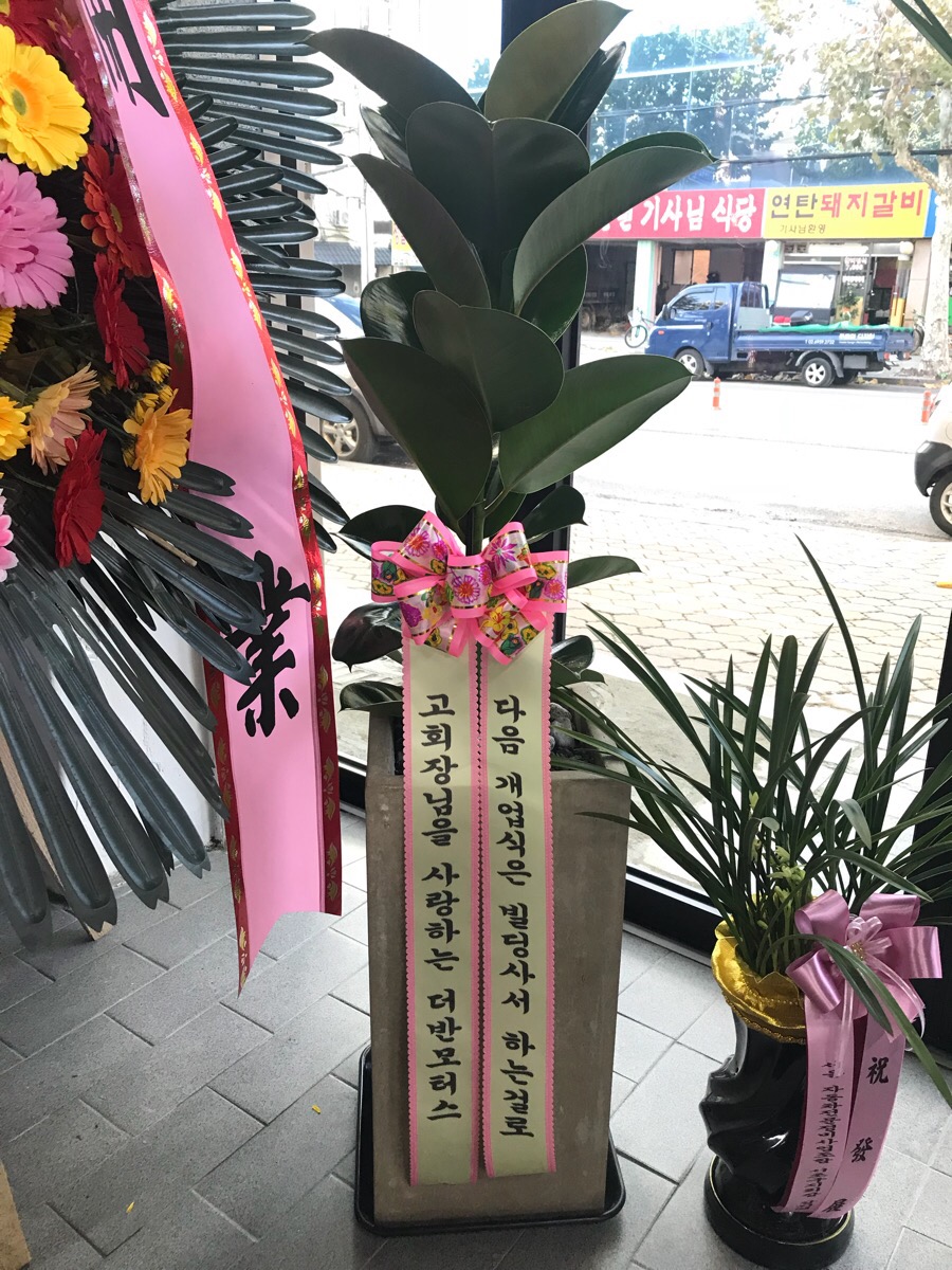 봄빛자동차공업사 이미지