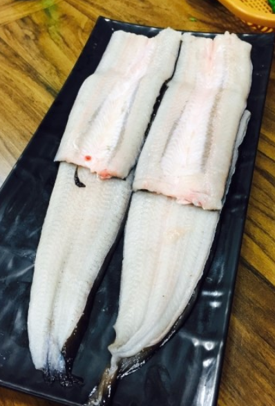 힘짱민물장어 이미지