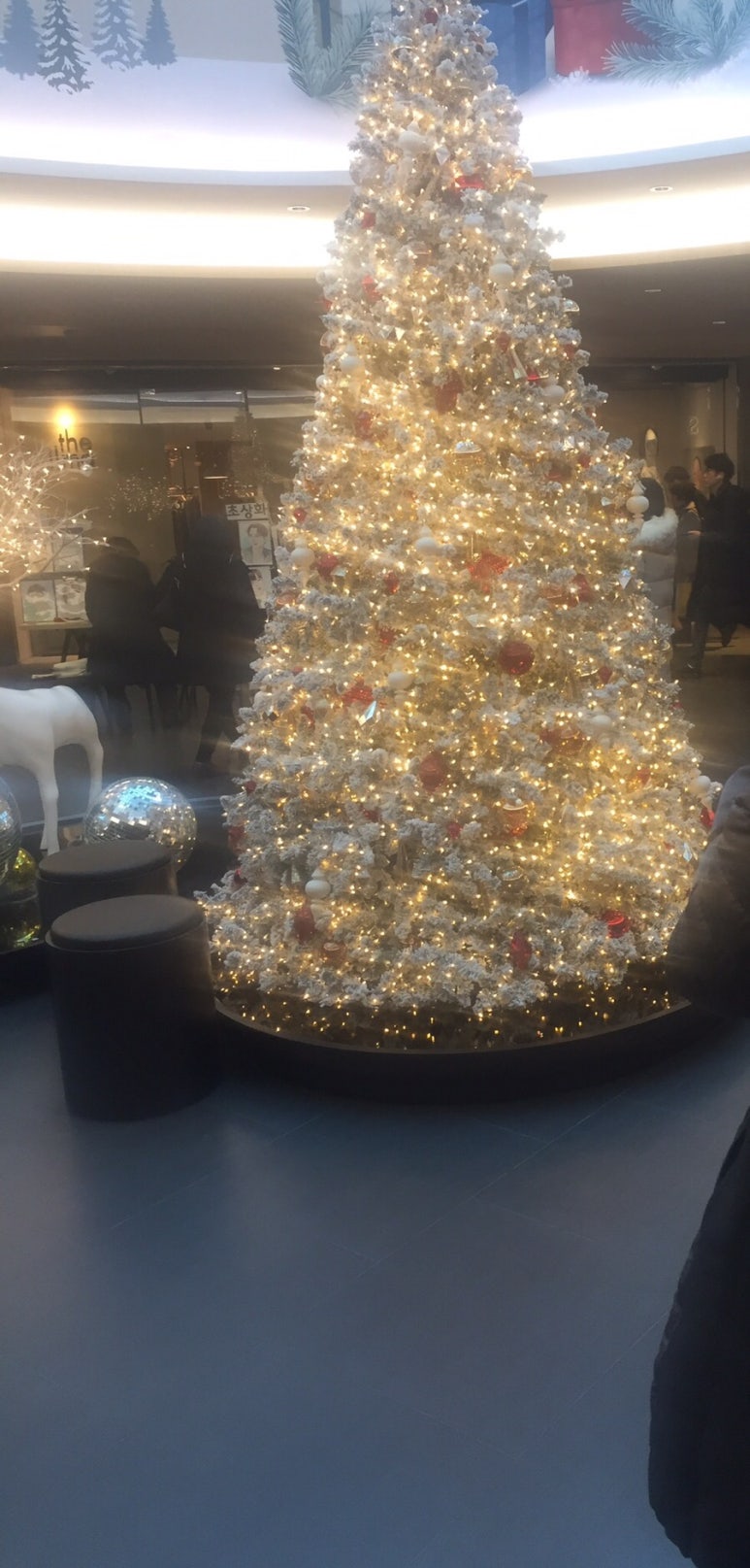 르푸도레 이미지