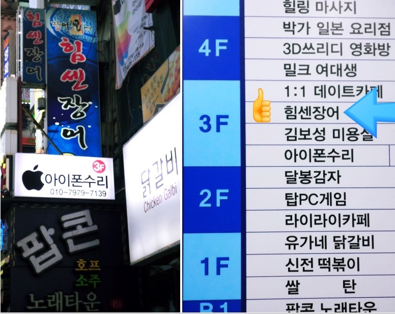 힘센장어오리 이미지