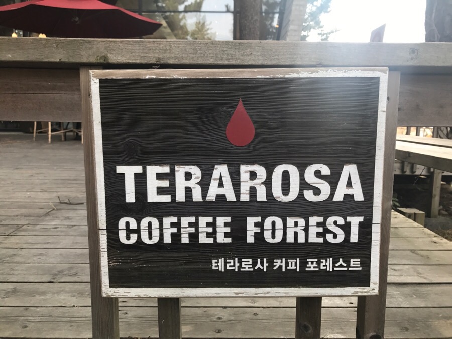 강릉포레스트 이미지