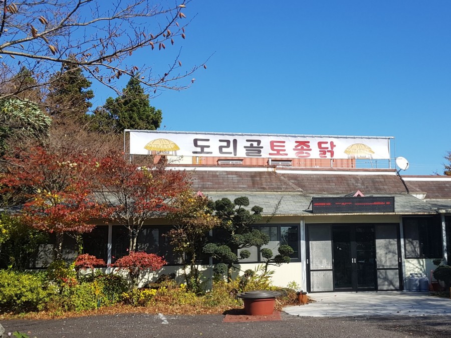 도리골토종닭 이미지