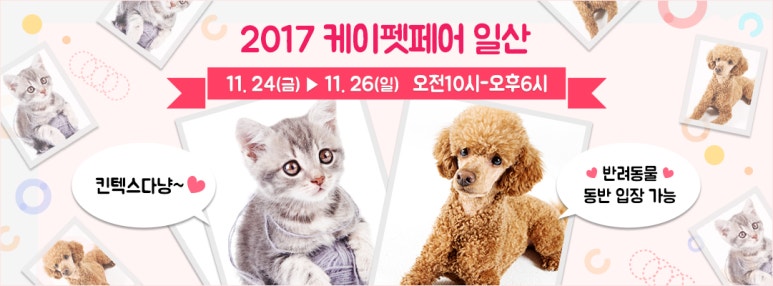 케이세미 이미지