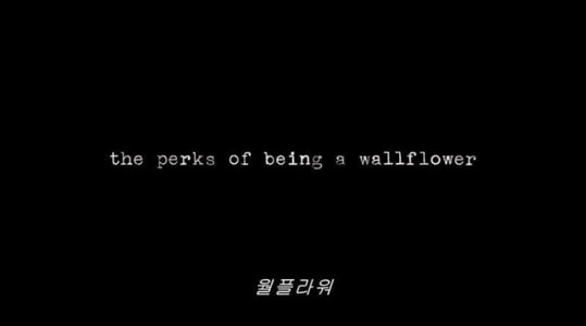 은유플라워 이미지