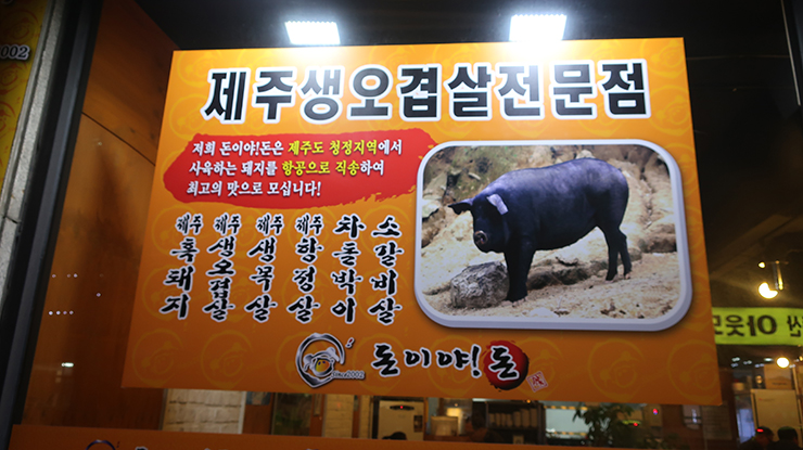 돈이야돈 이미지