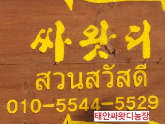 태안타일랜드 이미지