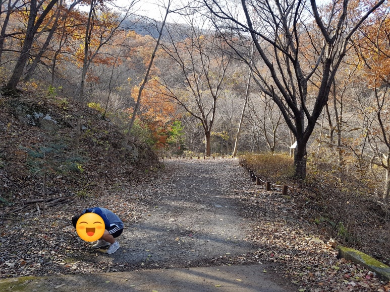 수목 비교 관찰원 이미지