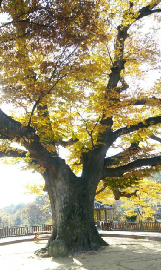모란공작소 이미지