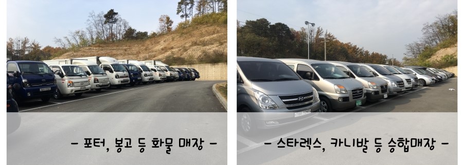 제일오토월드 이미지