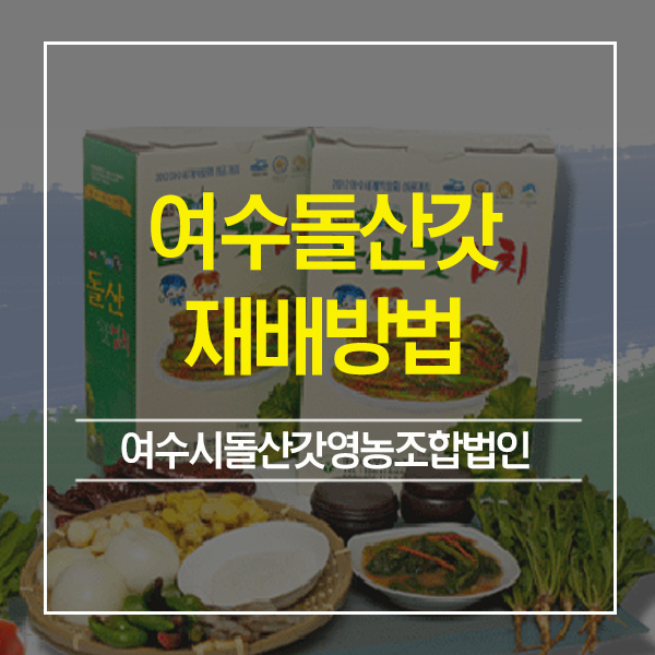 여수시돌산갓영농조합법인 이미지