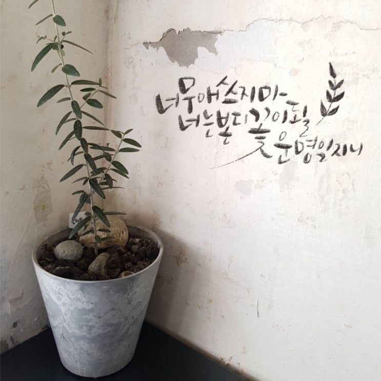 바게트호텔 이미지
