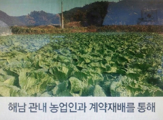 계곡농협 천생연분 절임배추 이미지
