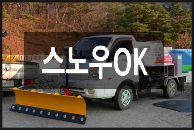 빅포유 이미지