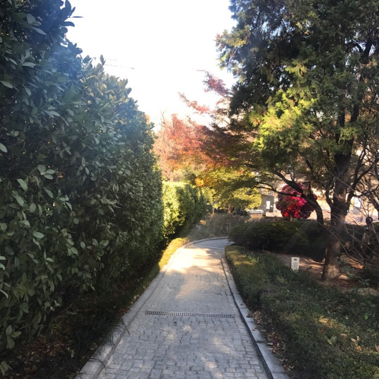 엘씨음악학원 이미지