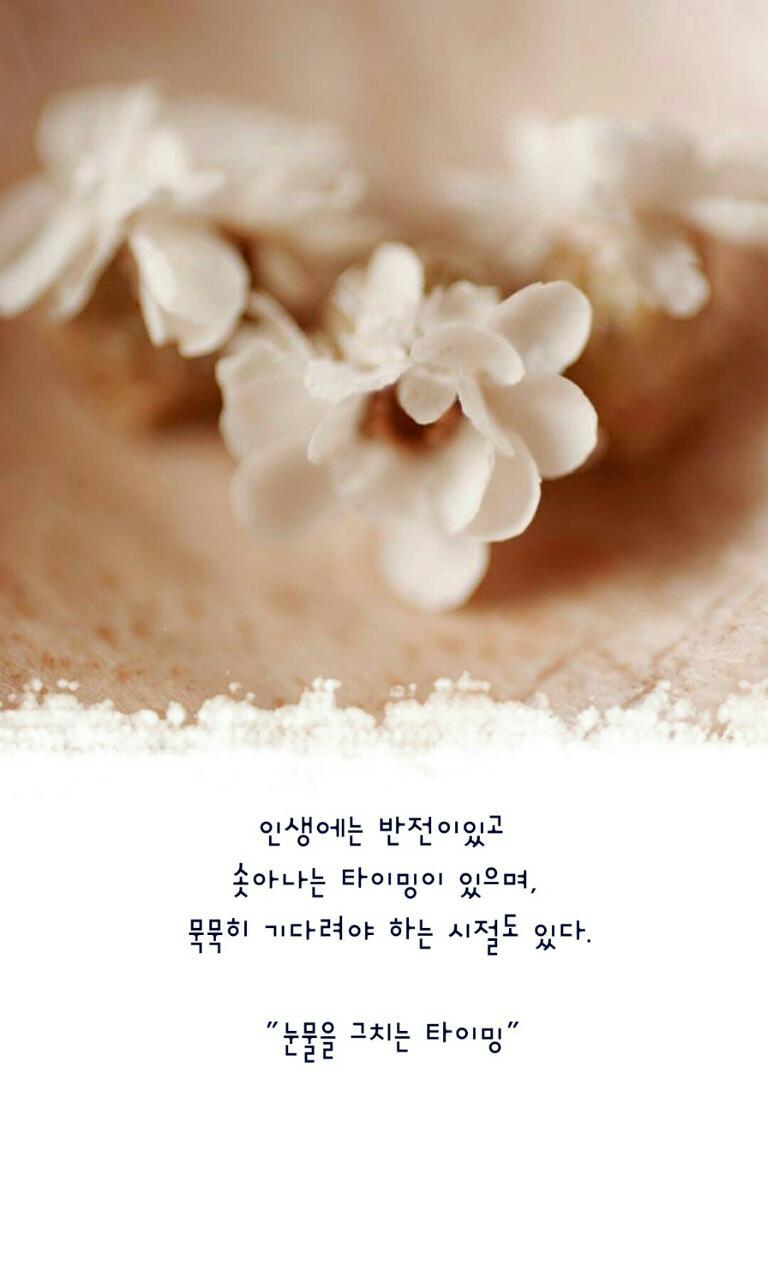 한라앤탐 이미지