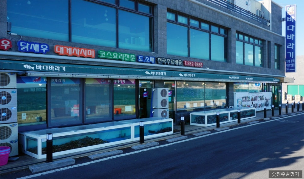 바다 바라기 이미지