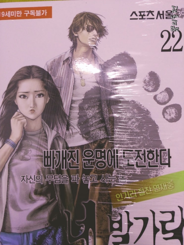 슈베스터 이미지