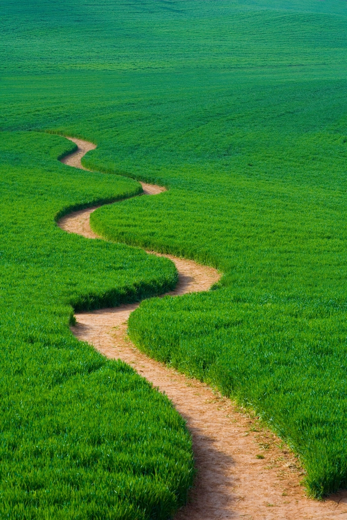 일본유학 이미지