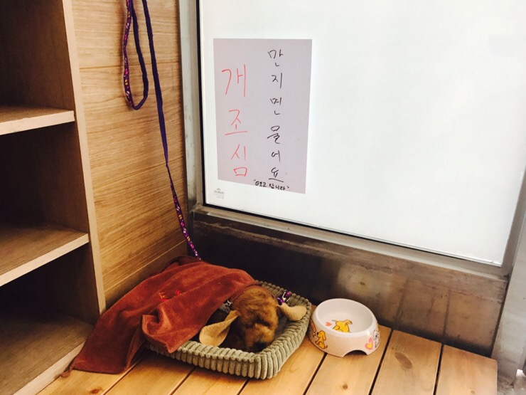 탱고아구찜 이미지