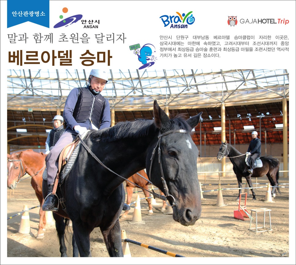 초원을 달리자 이미지